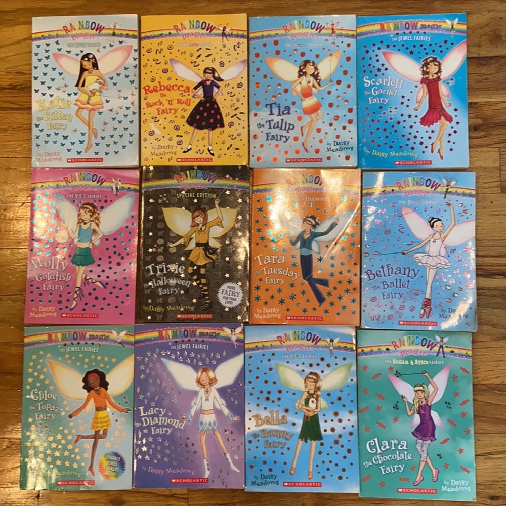 12 Rainbow Magic Fairy Books Lot